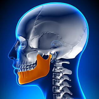 Animation of jawbone and skull