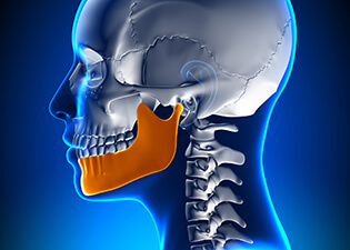Animation of jawbone and skull