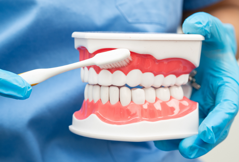 Dentist holding dentures
